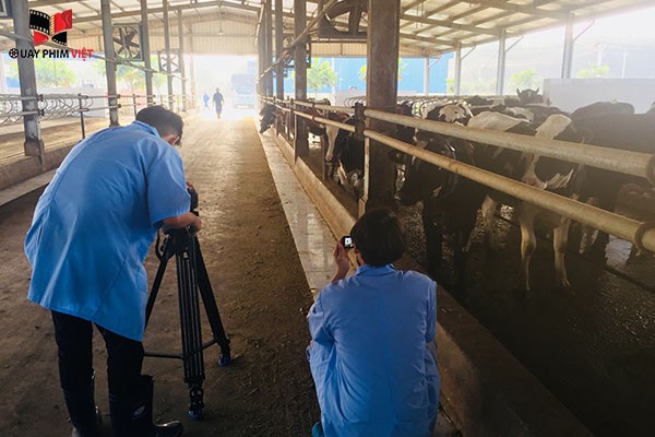 Quay giới thiệu doanh nghiệp