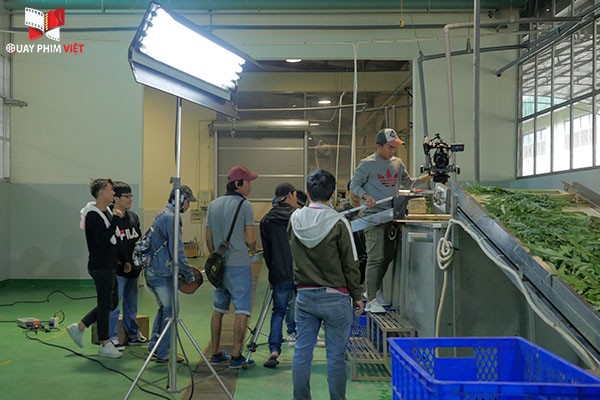 Quay nhà máy sơ chế Atiso